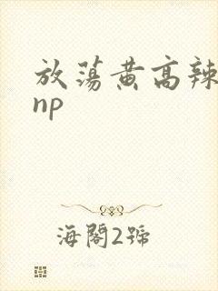 放荡黄高辣h文np封面
