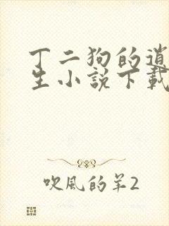 丁二狗的逍遥人生小说下载txt