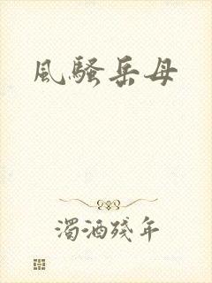 风骚岳母