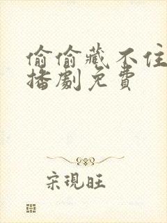 偷偷藏不住 广播剧免费