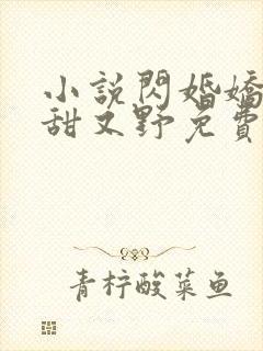 小说闪婚娇妻又甜又野免费阅读