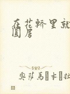 在花轿里就开始圆房封面