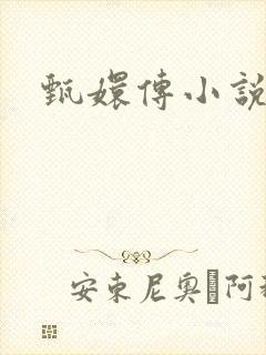 甄嬛传小说