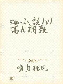 sm小说1v1高h调教