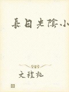 长日光阴小说封面