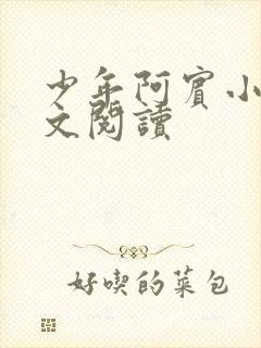 少年阿宾小说全文阅读