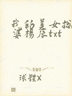 我的美女总裁老婆杨辰txt封面