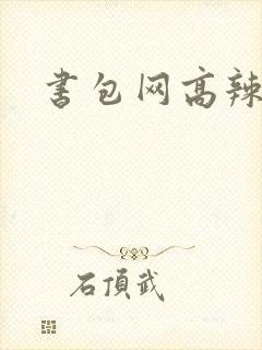 书包网高辣文