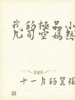 我的极品小姨叶凡司空嫣然