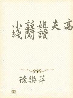 小说姐夫高h在线阅读
