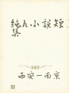 纯h小说短篇合集封面
