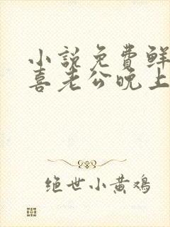 小说免费鲜妻有喜老公晚上好全文阅读封面