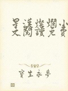 星汉灿烂小说全文阅读免费
