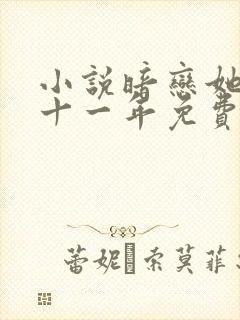 小说暗恋她的第十一年免费