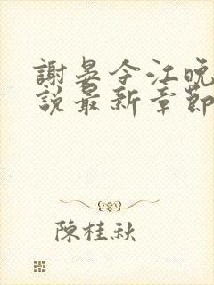 谢晏今江晚音小说最新章节更新