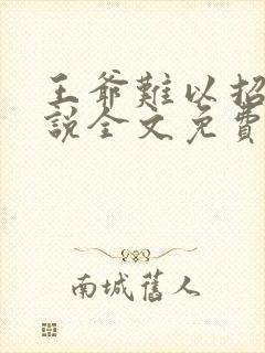 王爷难以招架小说全文免费阅读下载