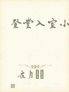 登堂入室小说封面