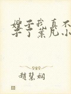 嫂子我真不是傻子了叶凡小说精校