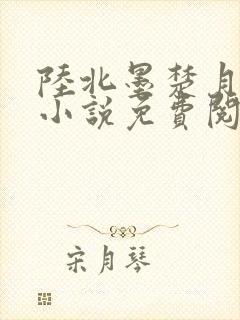 陆北墨楚月离的小说免费阅读无弹窗