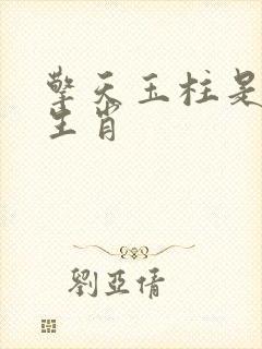 擎天玉柱是什么生肖