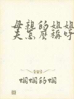 母亲的姐姐的丈夫怎么称呼封面