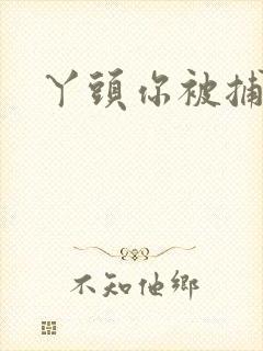 丫头你被捕了