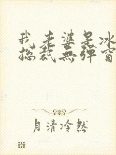 我老婆是冰山女总裁无弹窗免费