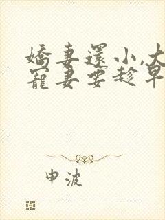 娇妻还小,大叔宠妻要趁早