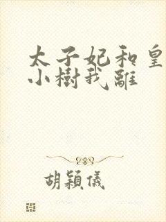 太子妃和皇上在小树我离封面