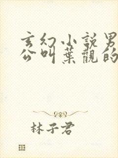 玄幻小说男主人公叫叶观的小说
