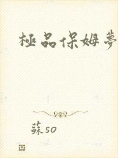 极品保姆梦梦封面
