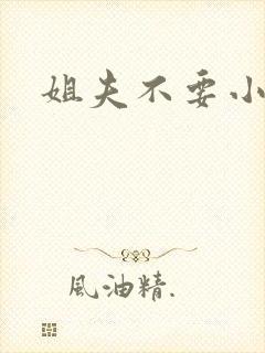 姐夫不要小说