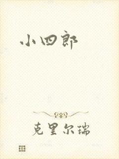 小四郎封面