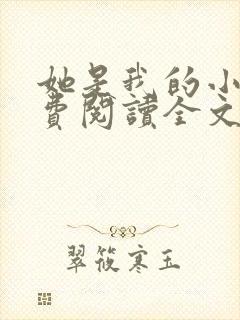她是我的小说免费阅读全文