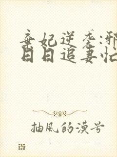 弃妃逆袭:邪王日日追妻忙无弹窗封面