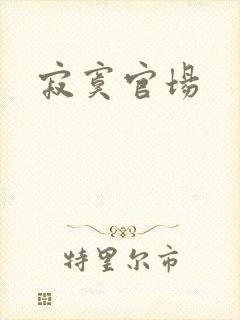 寂寞官场