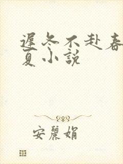迟冬不赴春安以夏小说