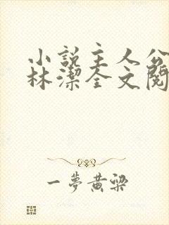 小说主人公秦齐林洁全文阅读