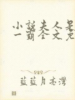 小说夫人是京城一霸全文免费阅读