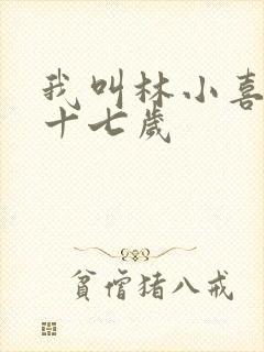我叫林小喜今年十七岁