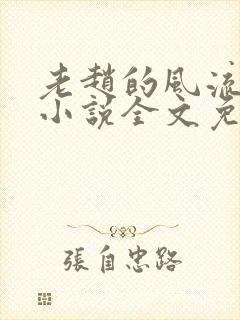 老赵的风流人生小说全文免费阅读封面