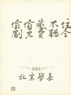 偷偷藏不住广播剧免费听全集封面