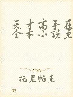 天才高手在都市全本小说免费阅读