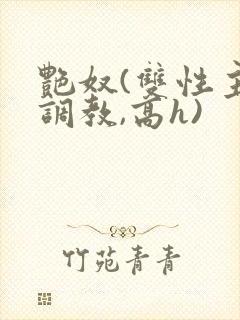 艳奴(双性主奴调教,高h)