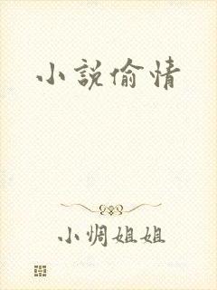 小说偷情
