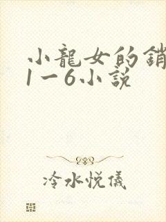小龙女的销魂夜1一6小说封面