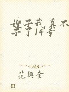 嫂子我真不是傻子了14章封面