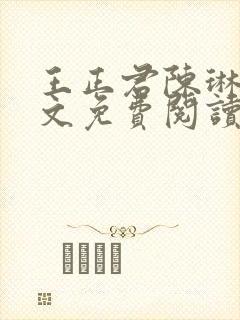 王正君陈琳洁全文免费阅读最新章节小说