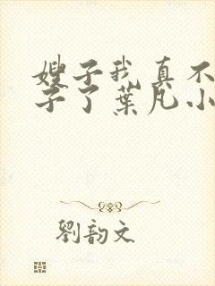 嫂子我真不是傻子了叶凡小说精校
