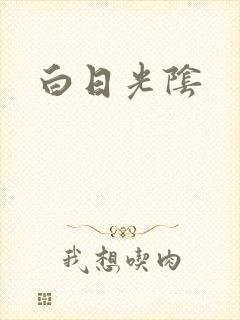 白日光阴封面